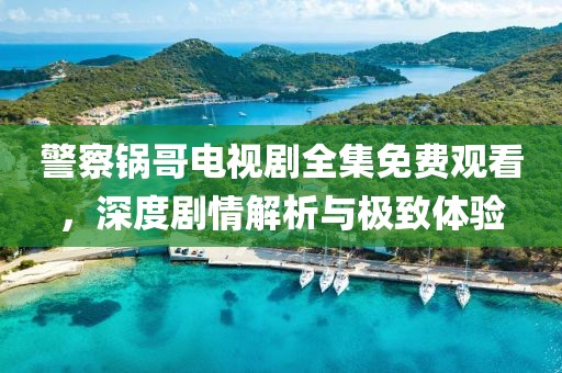 警察锅哥电视剧全集免费观看，深度剧情解析与极致体验