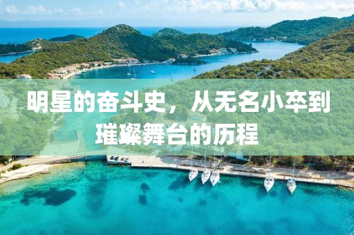 明星的奋斗史，从无名小卒到璀璨舞台的历程