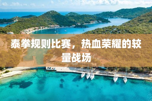 泰拳规则比赛，热血荣耀的较量战场