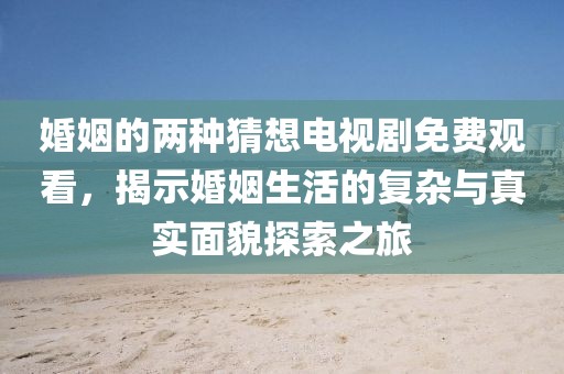 婚姻的两种猜想电视剧免费观看，揭示婚姻生活的复杂与真实面貌探索之旅