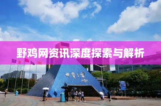 野鸡网资讯深度探索与解析