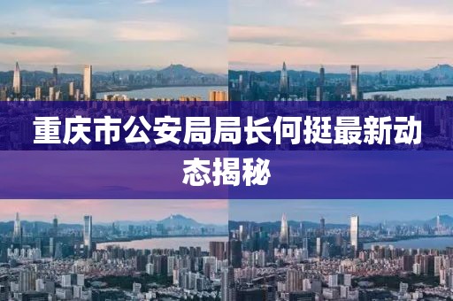 重庆市公安局局长何挺最新动态揭秘