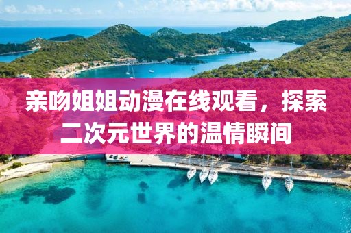 亲吻姐姐动漫在线观看，探索二次元世界的温情瞬间