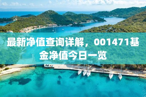 最新净值查询详解，001471基金净值今日一览