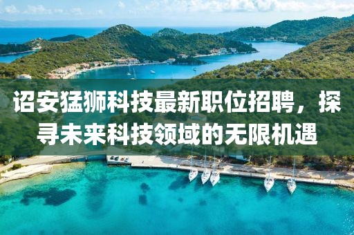 诏安猛狮科技最新职位招聘，探寻未来科技领域的无限机遇