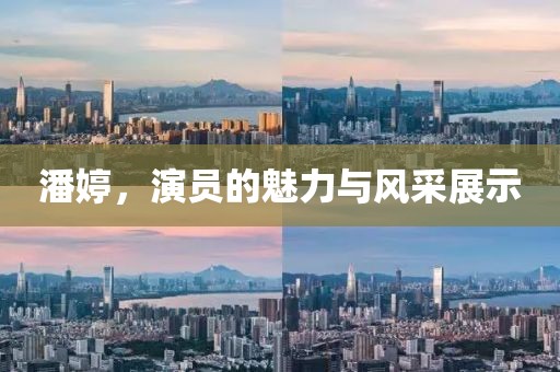 潘婷，演员的魅力与风采展示