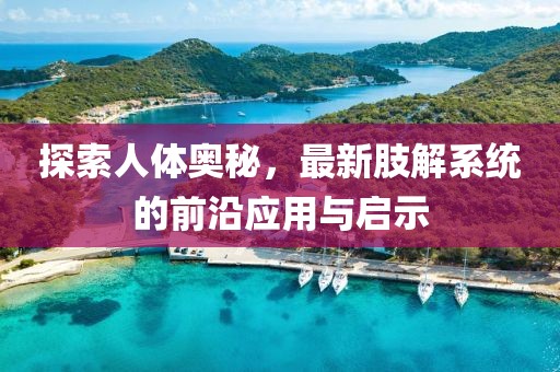 探索人体奥秘，最新肢解系统的前沿应用与启示