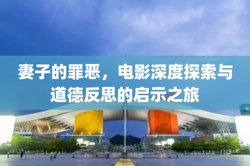 妻子的罪恶，电影深度探索与道德反思的启示之旅