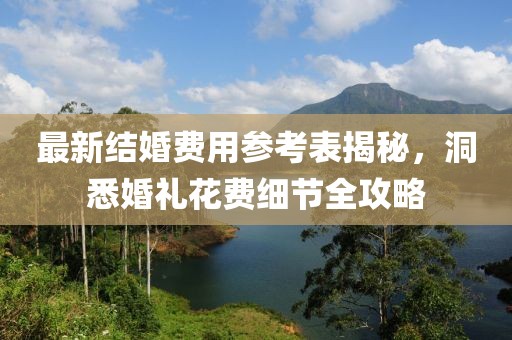最新结婚费用参考表揭秘，洞悉婚礼花费细节全攻略