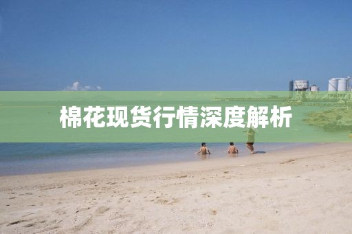 棉花现货行情深度解析