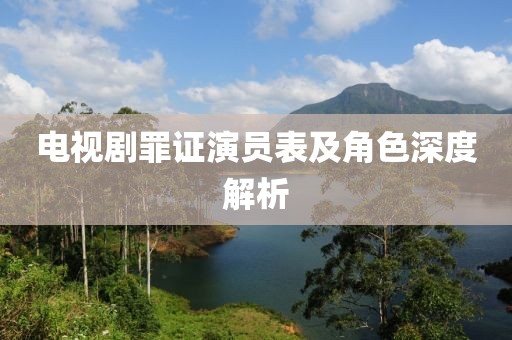 电视剧罪证演员表及角色深度解析