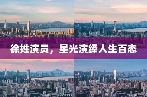 徐姓演员，星光演绎人生百态