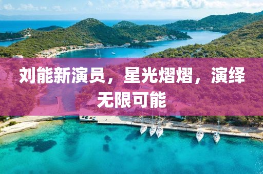 刘能新演员，星光熠熠，演绎无限可能