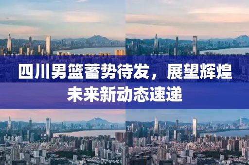 四川男篮蓄势待发，展望辉煌未来新动态速递