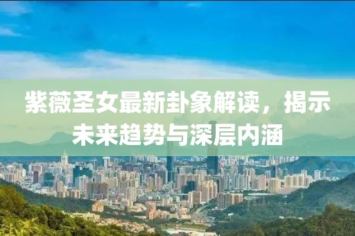 紫薇圣女最新卦象解读，揭示未来趋势与深层内涵