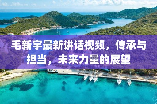 毛新宇最新讲话视频，传承与担当，未来力量的展望