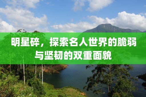 明星碎，探索名人世界的脆弱与坚韧的双重面貌