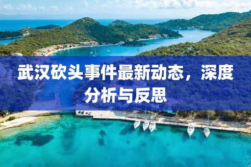 武汉砍头事件最新动态，深度分析与反思