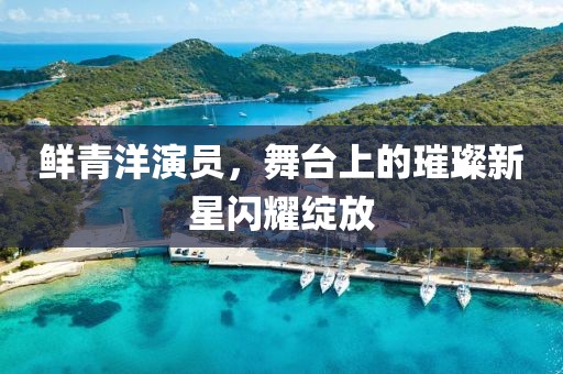 鲜青洋演员，舞台上的璀璨新星闪耀绽放