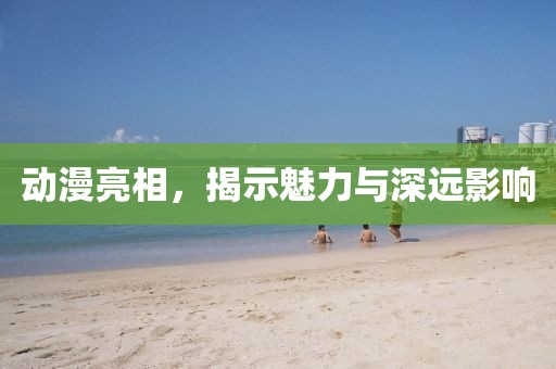 动漫亮相，揭示魅力与深远影响