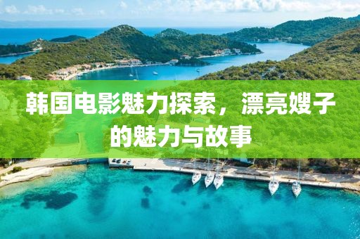 韩国电影魅力探索，漂亮嫂子的魅力与故事
