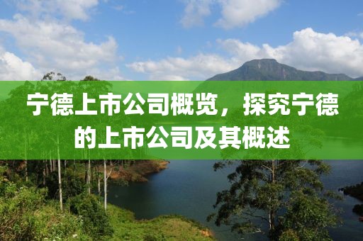 宁德上市公司概览，探究宁德的上市公司及其概述