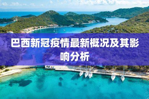 巴西新冠疫情最新概况及其影响分析