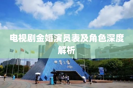电视剧金婚演员表及角色深度解析