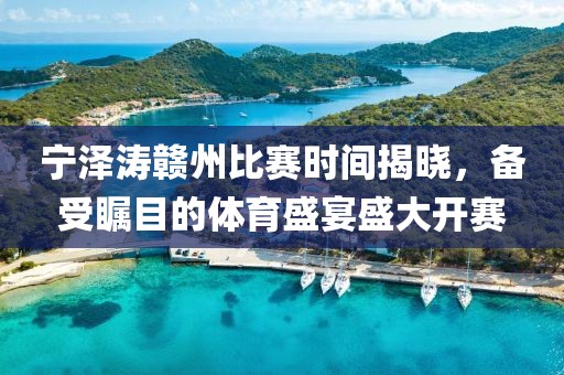 宁泽涛赣州比赛时间揭晓，备受瞩目的体育盛宴盛大开赛
