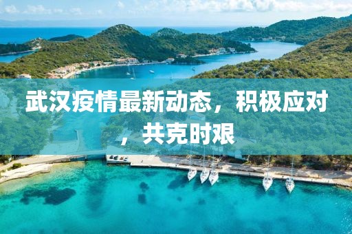 武汉疫情最新动态，积极应对，共克时艰