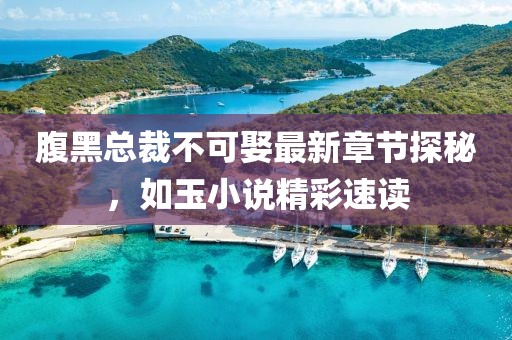 腹黑总裁不可娶最新章节探秘，如玉小说精彩速读
