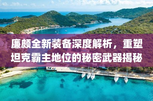 廉颇全新装备深度解析，重塑坦克霸主地位的秘密武器揭秘