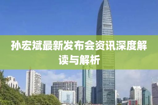 孙宏斌最新发布会资讯深度解读与解析