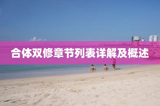 合体双修章节列表详解及概述