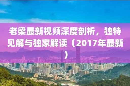 老梁最新视频深度剖析，独特见解与独家解读（2017年最新）