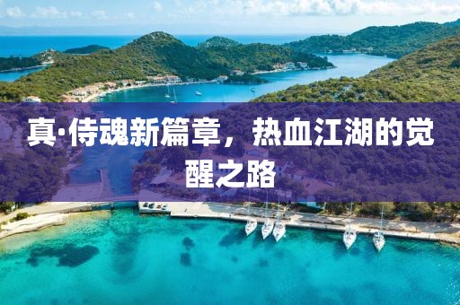 真·侍魂新篇章，热血江湖的觉醒之路
