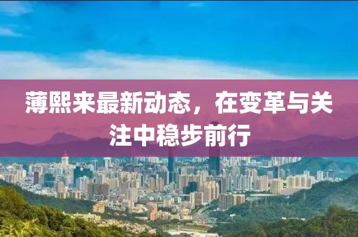 薄熙来最新动态，在变革与关注中稳步前行