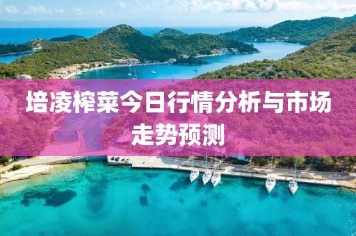 培凌榨菜今日行情分析与市场走势预测
