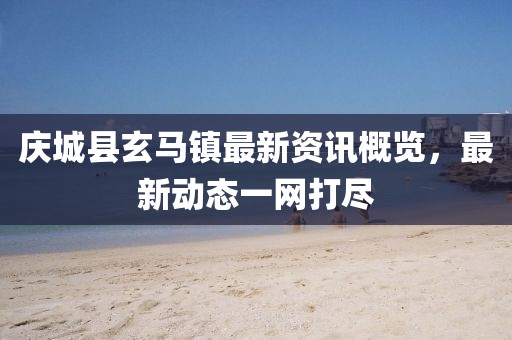 你是不是油饼 第10页
