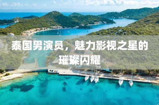 泰国男演员，魅力影视之星的璀璨闪耀