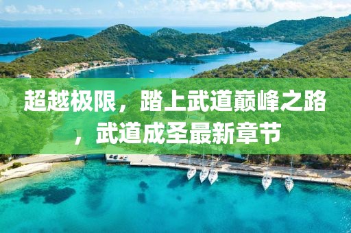 超越极限，踏上武道巅峰之路，武道成圣最新章节
