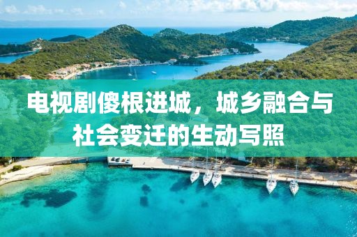 电视剧傻根进城，城乡融合与社会变迁的生动写照