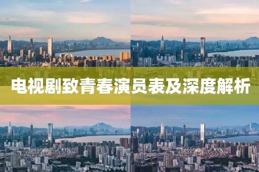 电视剧致青春演员表及深度解析