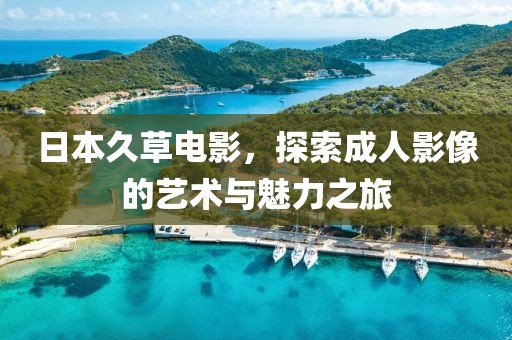 日本久草电影，探索成人影像的艺术与魅力之旅