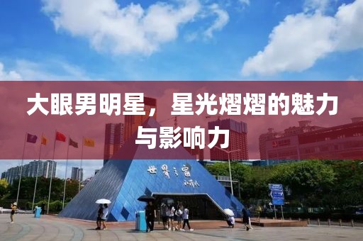 大眼男明星，星光熠熠的魅力与影响力