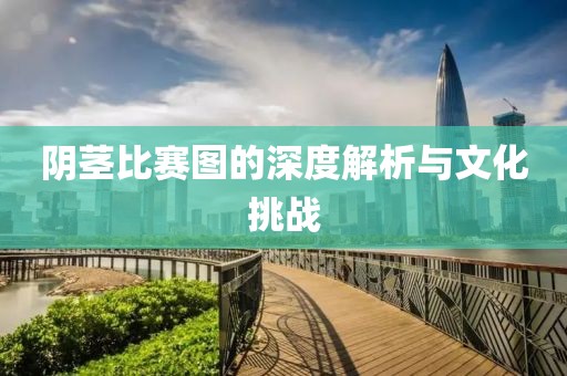 阴茎比赛图的深度解析与文化挑战