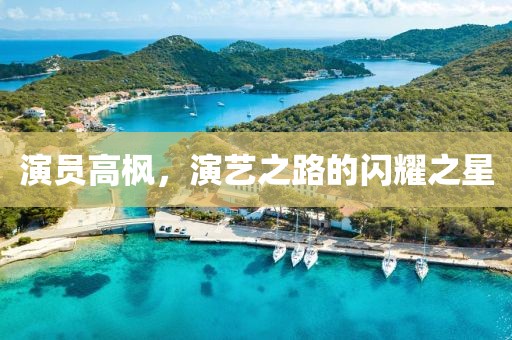 演员高枫，演艺之路的闪耀之星