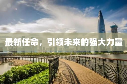 最新任命，引领未来的强大力量
