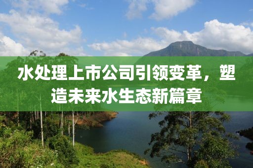 水处理上市公司引领变革，塑造未来水生态新篇章
