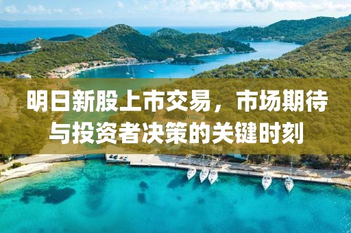 明日新股上市交易，市场期待与投资者决策的关键时刻
